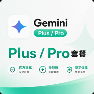 Gemini Plus / Pro 一个月套餐订阅 一年Pro成品账号