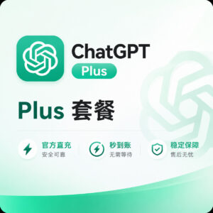 ChatGPT Plus套餐订阅 · 人工处理 · 正规卡充