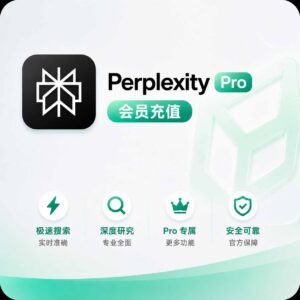 Perplexity Pro 套餐订阅 商品主图